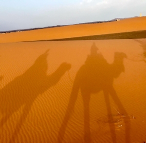 Tours from Agadir Tours from Agadir