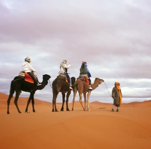 Tours from Ouarzazate Tours from Ouarzazate