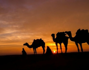 Tour from Marrakech Tour from Marrakech