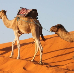 Tours from Chefchaouen Tours from Chefchaouen