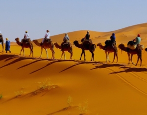 Tour from Marrakech To Desert and Fes 4 Days Tour from Marrakech To Desert and Fes 4 Days