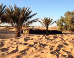 Trips Around Morocco Trips Around Morocco