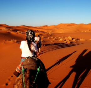 Tours from Agadir