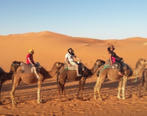 Trips Around Morocco Trips Around Morocco