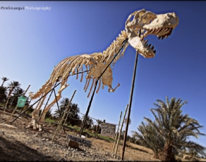 Trips Around Morocco Trips Around Morocco