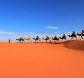 Tours from Ouarzazate Tours from Ouarzazate