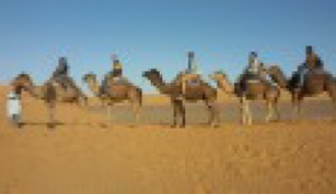 Trips Around Morocco, day trips and excursions Trips Around Morocco, day trips and excursions